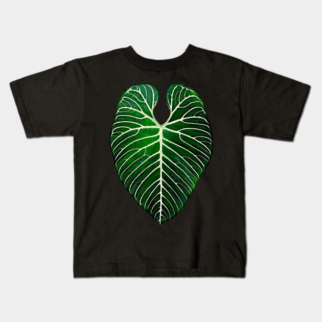 ANTHURIUM REGALE Kids T-Shirt by plantees-id